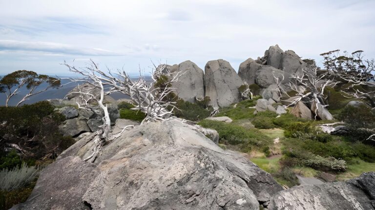 Porcupine walk (5. 7km)