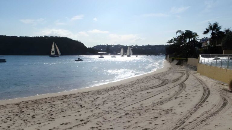 Taronga zoo to manly hike (18. 9km)