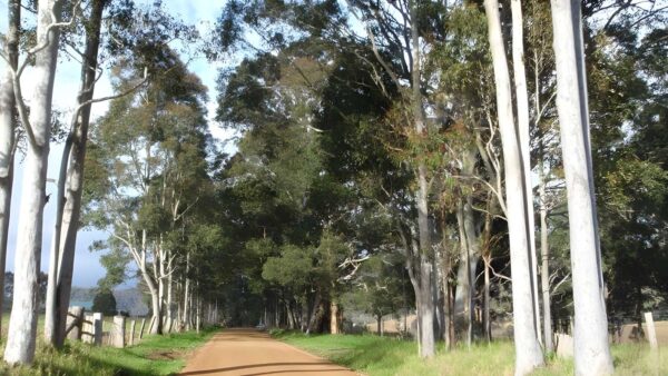 The Basin Campsite to Heaton Gap Hike (60.5km) The basin campsite to heaton gap hike (60. 5km)