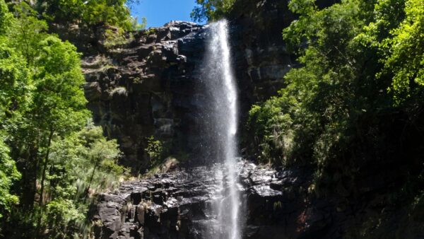 Vera Falls Track (3.8km) Vera falls track (3. 8km)