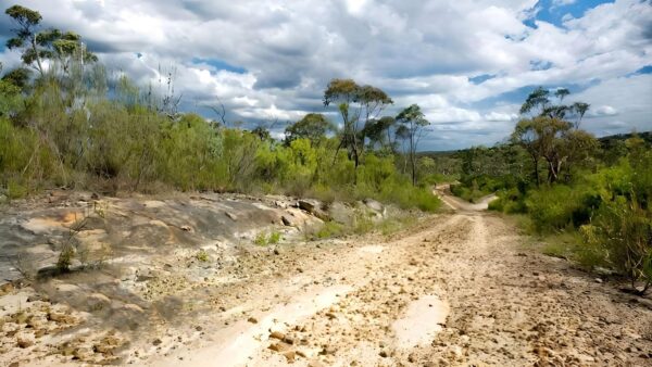 Woodford - Oaks Trail Walk (27km) Woodford - oaks trail walk (27km)