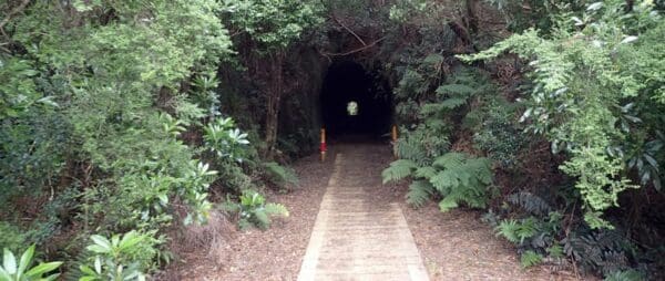 Zeehan to strahan 600x254