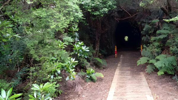 Zeehan to strahan road hike (51km)