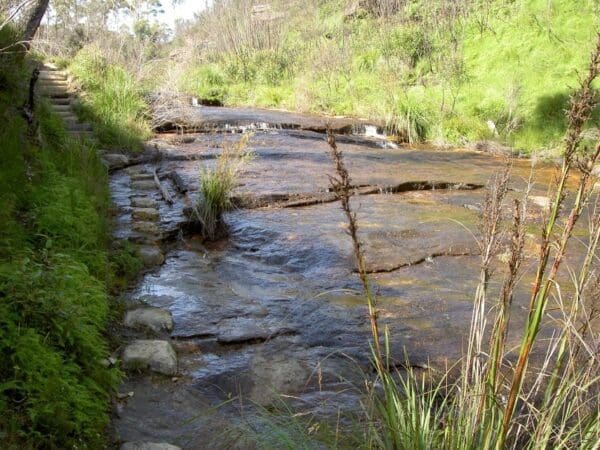 Hikes Braeside walk 600x450