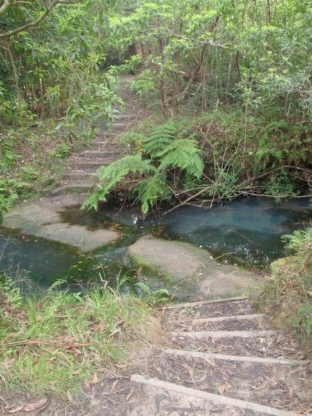 Hikes De burgs bridge to thornleigh station 450x600