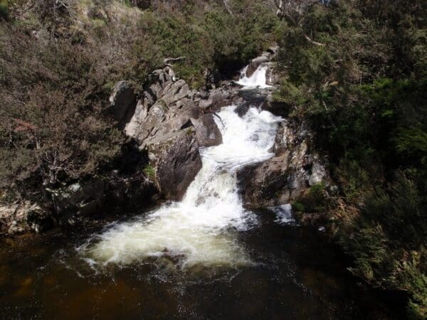 Thredbo to Village Weir Walk (2.2km) Dead horse gap track 600x450