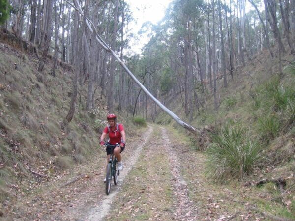 Mount Buninyong: the Crater Walk (1.2km) Great divide rail trail 600x450