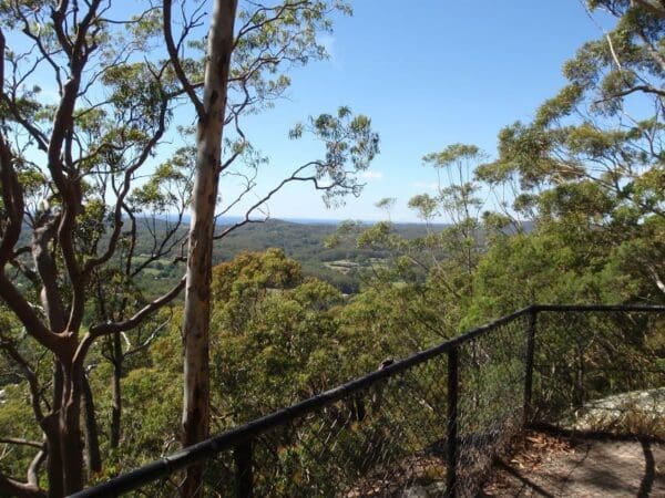 Hikes Sandringham circuit 600x450