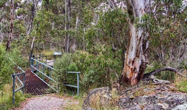 Sawpit walking track trail hiking australia 600x352