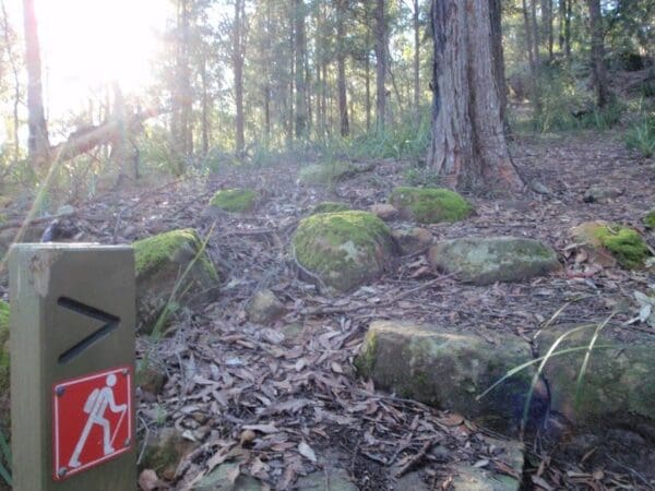 Somersby to the basin campsite 600x450