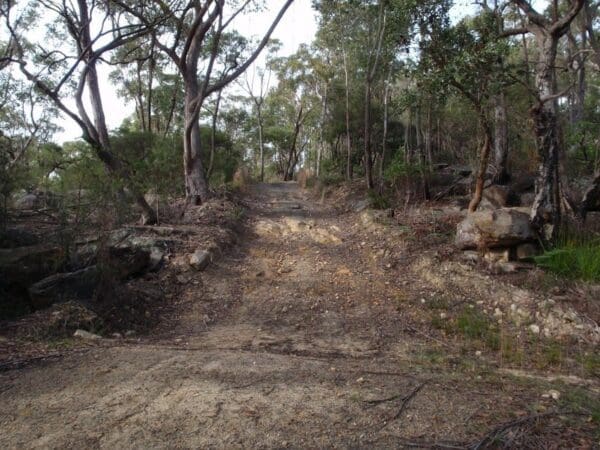 Stringybark ridge and zig zag creek loop from thornleigh station 600x450
