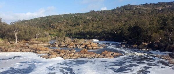 Syds rapids aboriginal heritage trail 600x254