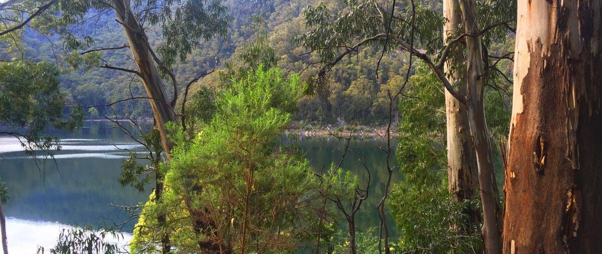 Trip Report - Lake Tali Karng - Tamboritha Road and Mt Margaret
