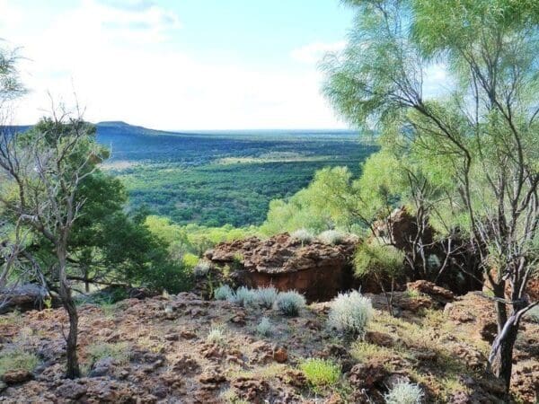 Wave rock trail 600x450