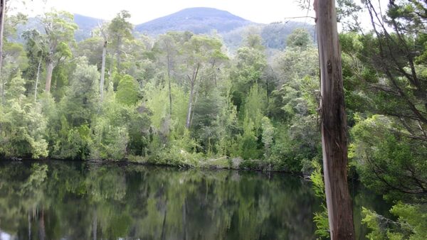 Duck hole lake trail walk (1. 8km)