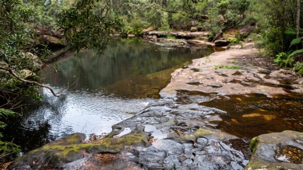 Faulconbridge to Blaxland Hike (15.2km) Faulconbridge to blaxland hike (15. 2km)