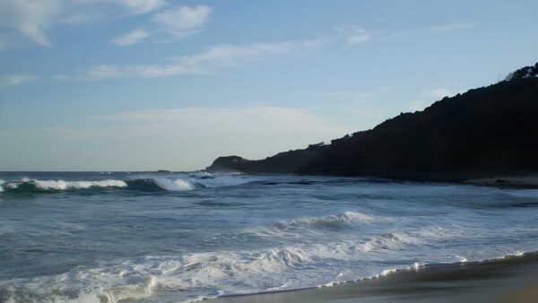 Garie beach to north era beach walk (3. 2km)