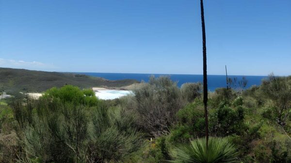 Grass tree track (900m)