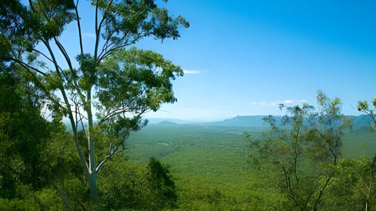 Herveys Range Rail Trail Walk (11km) Herveys range rail trail walk (11km)
