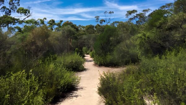 Karloo Walking Track (10km) Karloo walking track (10km)