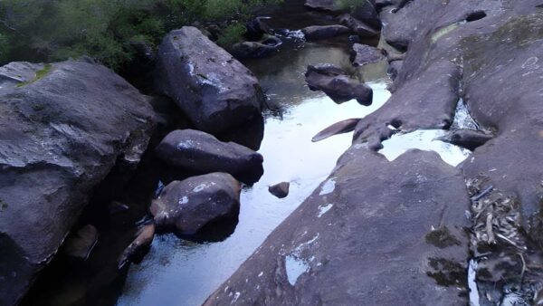Martin's lookout to glenbrook creek walk (1. 2km)