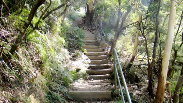 Nature Track (3.3km) Nature track (3. 3km)
