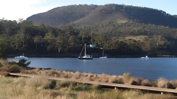 Old beach foreshore trail walk (4km)