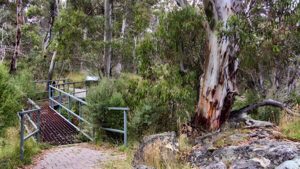 Sawpit Walking Track (2km) Sawpit walking track (2km)