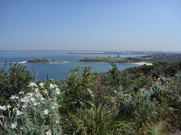 Bare island to maroubra via henry head 600x450