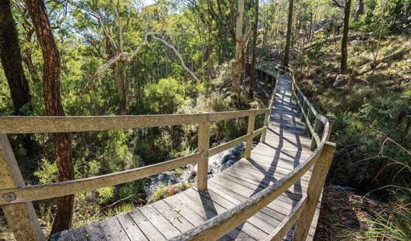 Kaputar Plateau Walk (8km) Bundabulla circuit walking track trail hiking australia 600x352