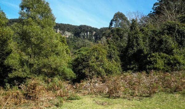 Clover hill trail trail hiking australia 600x352