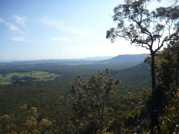 Congewai track head east to watagan headquarters 600x450