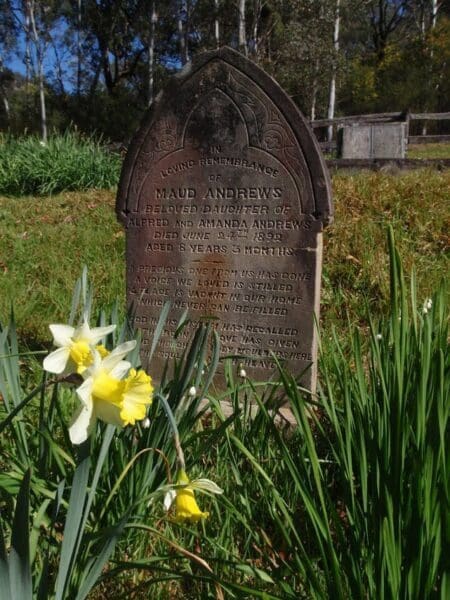Hikes Dubbo gully to upper mangrove cemetery 450x600
