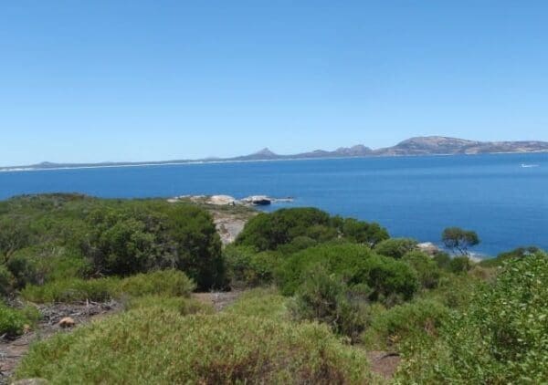 Island top walk trail 600x422