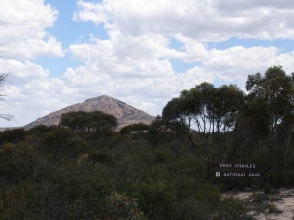 Hikes Peak charles trail 600x450