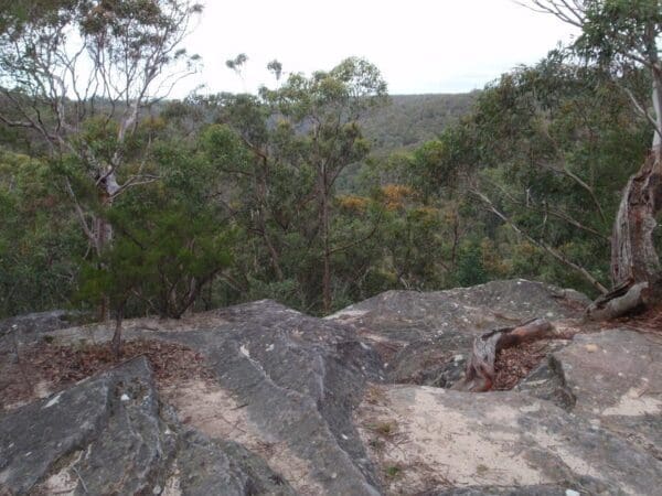 Hikes Raymond rd to lawsons lookout 600x450