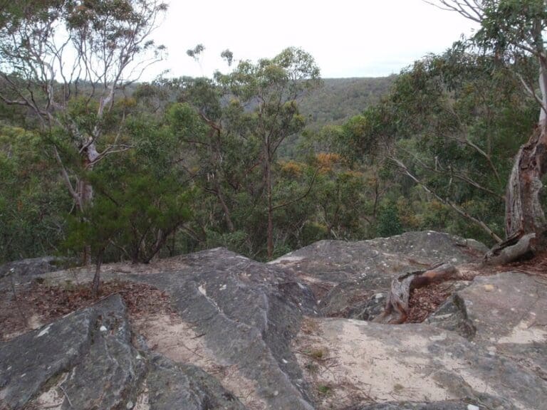 Raymond rd to lawsons lookout 768x576
