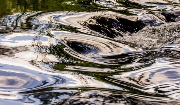 Hikes River walk trail hiking australia 600x352