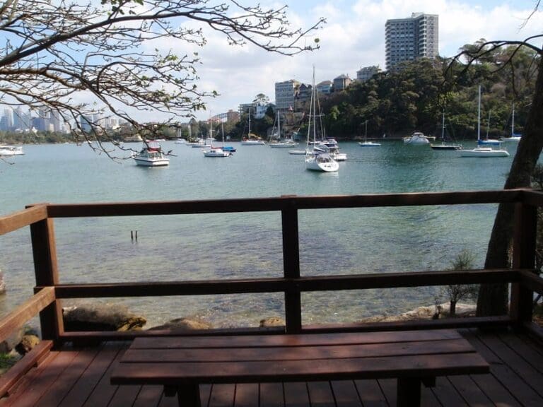 Taronga Zoo to Camp Curlew Walk (900m) Taronga zoo to camp curlew 768x576