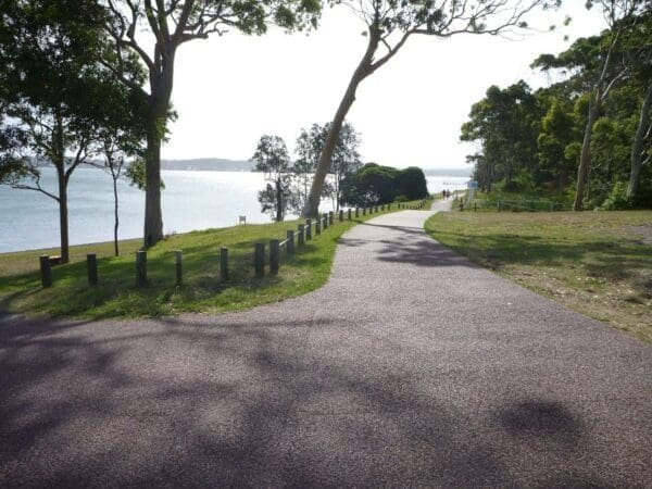 The lookout circuit 600x450