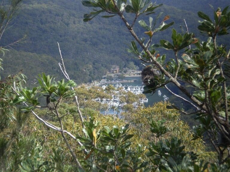 The slade lookout track 768x576