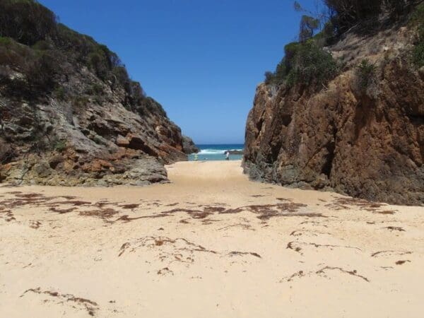 Wallagoot gap 600x450