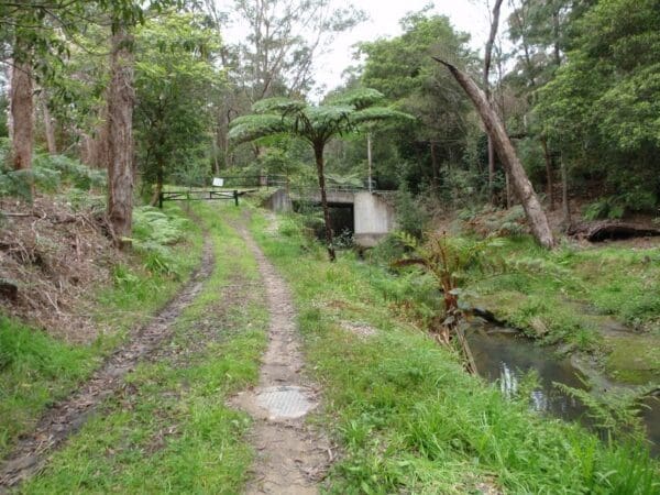 Wareemba ave to thornleigh station 600x450