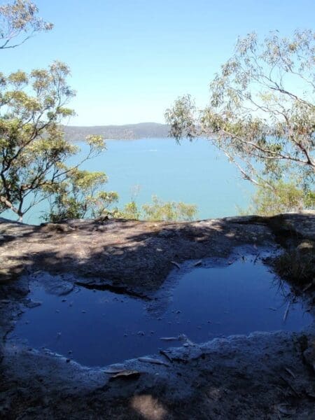 Warrah trig to patonga 450x600