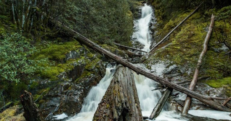 Willies falls 768x403