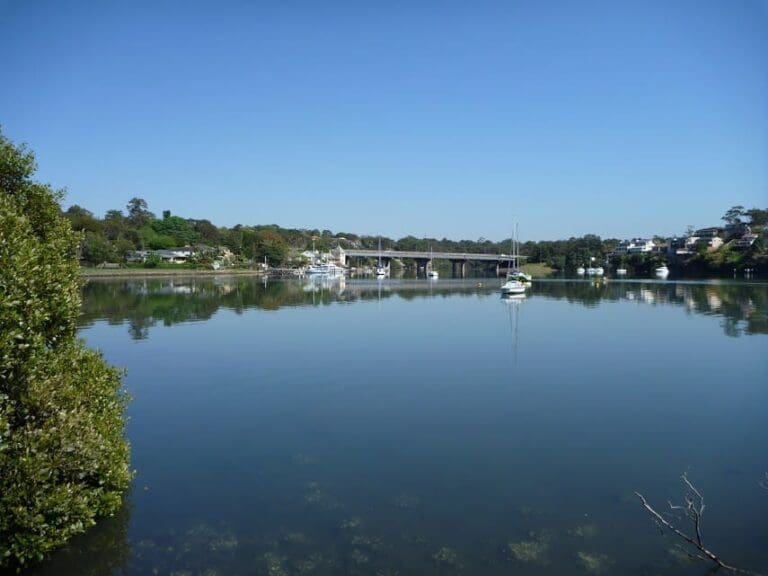 Woolwich Wharf to Boronia Park Walk (5.8km) Woolwich wharf to boronia park 768x576