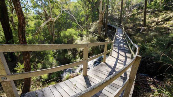 Bundabulla Circuit Walking Track (3.5km) Bundabulla circuit walking track (3. 5km)