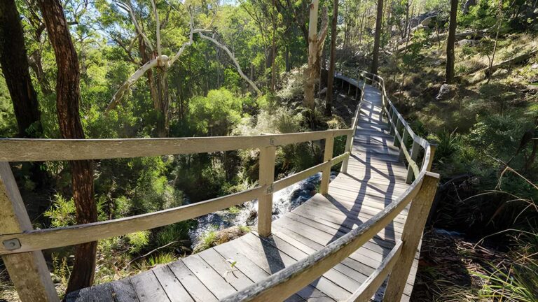 Bundabulla Circuit Walking Track (3.5km) Bundabulla circuit walking track (3. 5km)