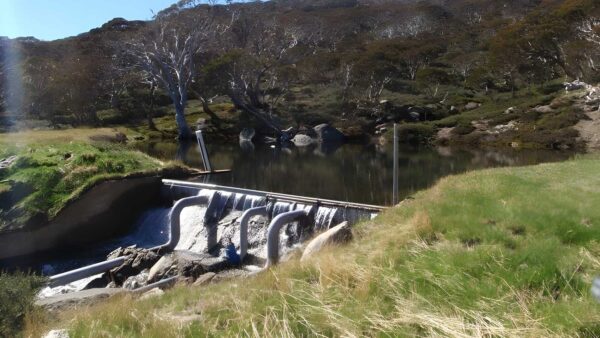 Charlotte pass to village dam walk (800m)