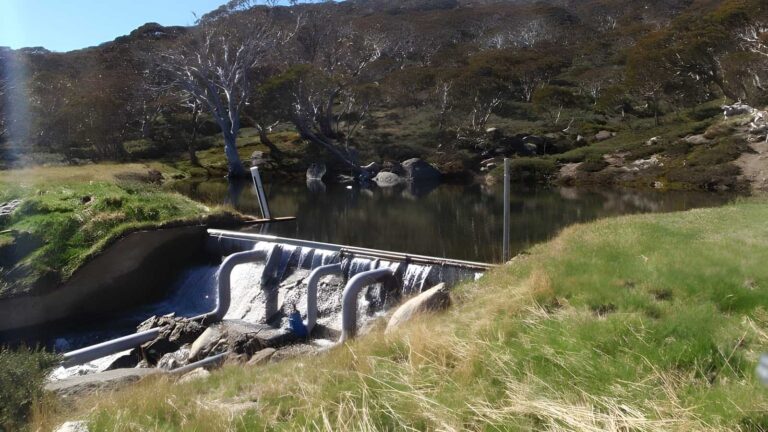 Charlotte pass to village dam walk (800m)